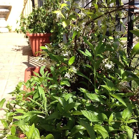 Konukevi Sulla Via Delle Cinque Terre